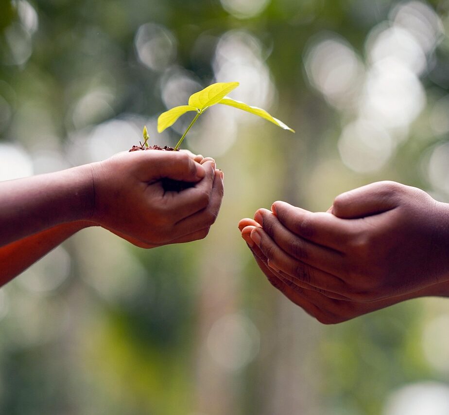 Adverse Childhood Experiences